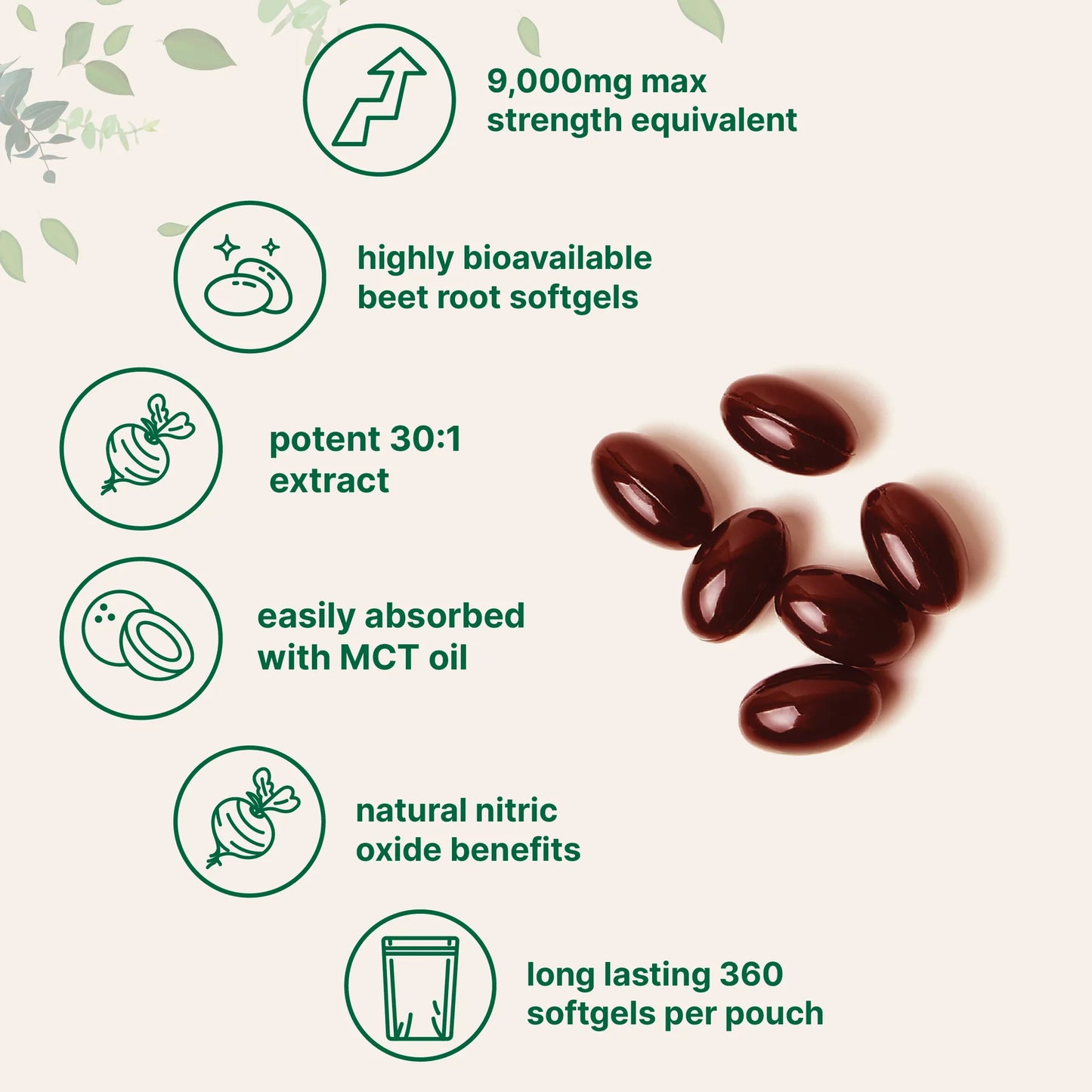 Beet Root 9,000mg Equivalent with MCT Oil